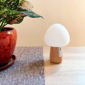 Lampe Veilleuse de Nuit Champy