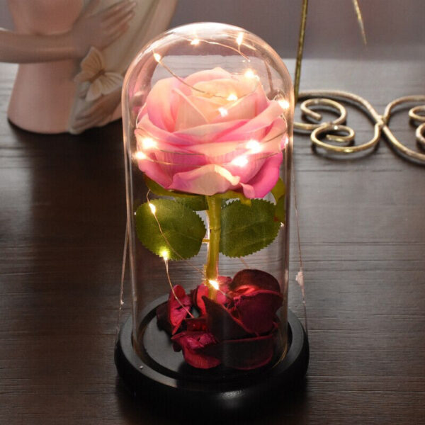 Rose Lumineuse Rose